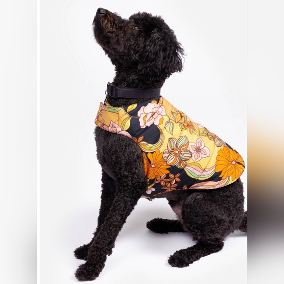 NWT Johnny Was Wonder Years Colorful Floral Dog Nylon Puffer Jacket, Boho, XXS - Picture 2 of 4